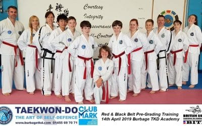 Red Belt & Black Stripe Pre-Grading Training!