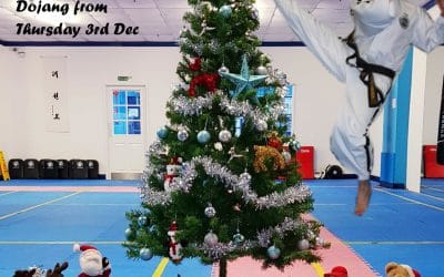 UNDER 18s RETURN BACK TO THE DOJANG!!