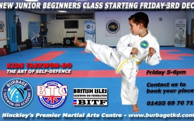 NEW JUNIOR TKD BEGINNERS CLASS!!