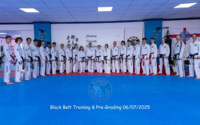 BLACK BELT TRAINING – PRE-GRADING!!