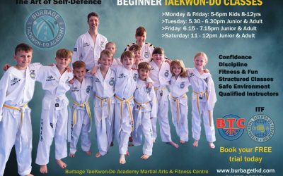 BEGINNER TAEKWON-DO CLASSES!!